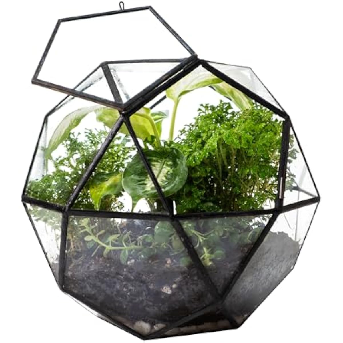 Geometryczny terrarium w kszta – Glass Door Hinge recenzja i cena