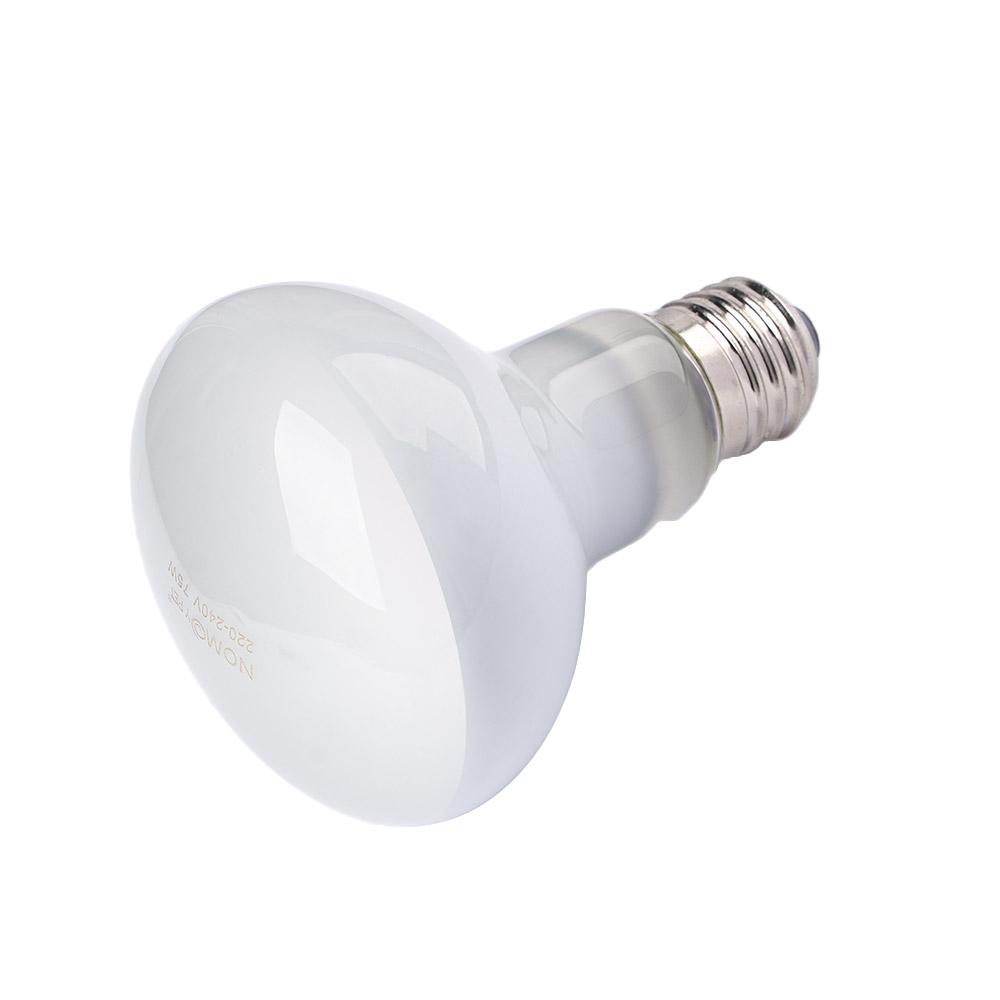 Regulator temperatury dla płaz – Basking Bulb Halogen recenzja i cena