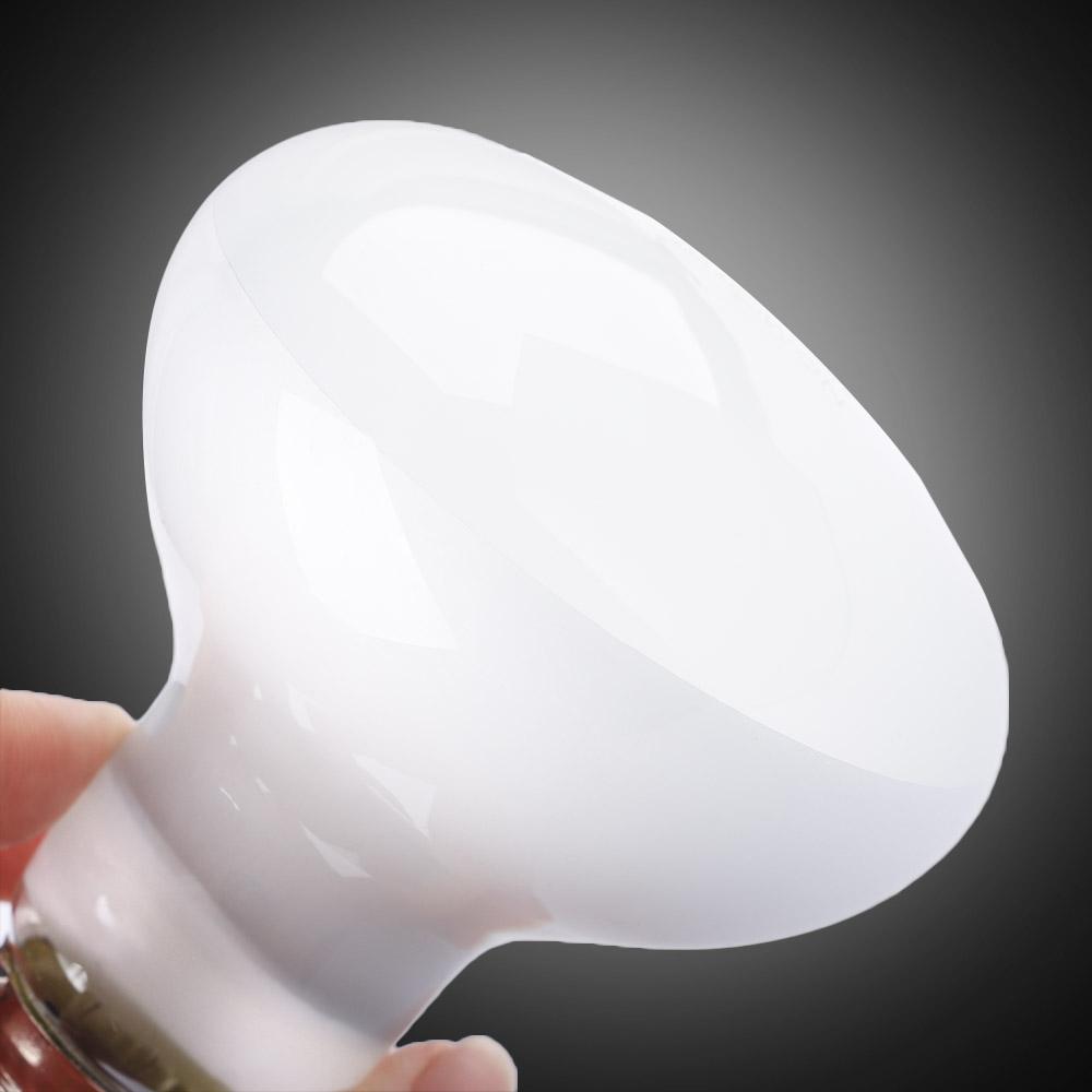 Regulator temperatury dla żółw – Basking Bulb Halogen recenzja i cena