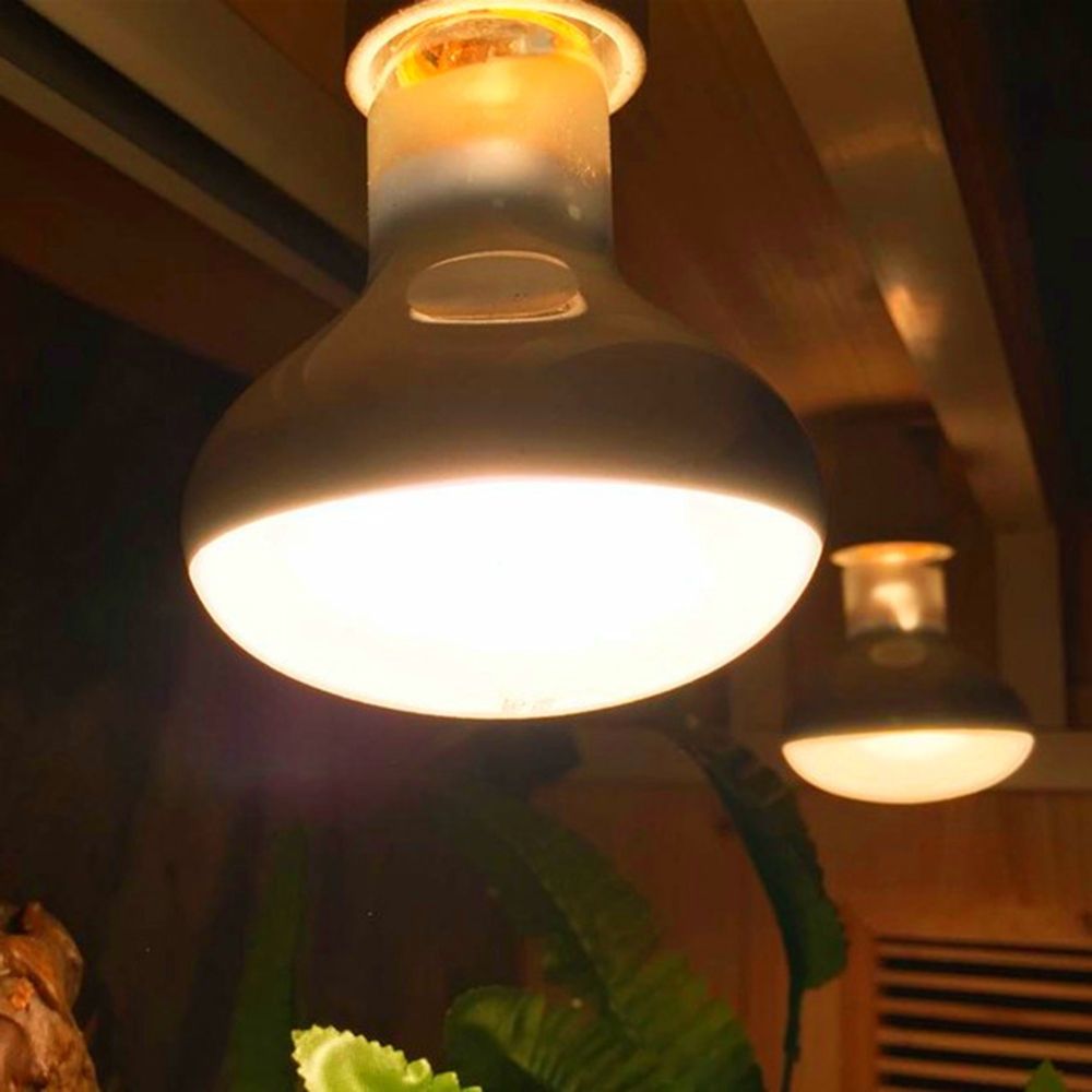 Lampa grzewcza dla żółwi, lamp – Basking Bulb Halogen recenzja i cena